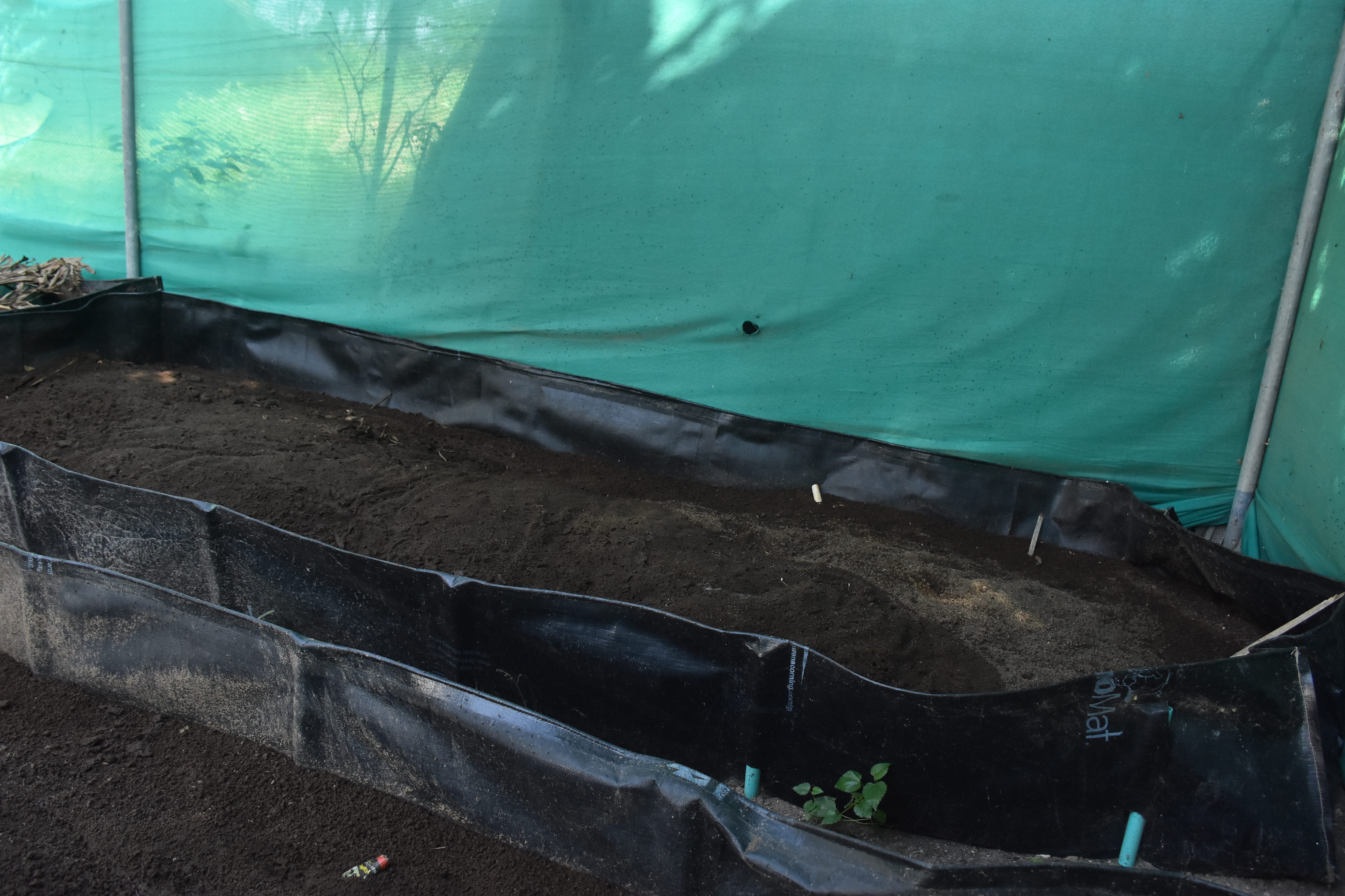 Azolla Bed HDPE