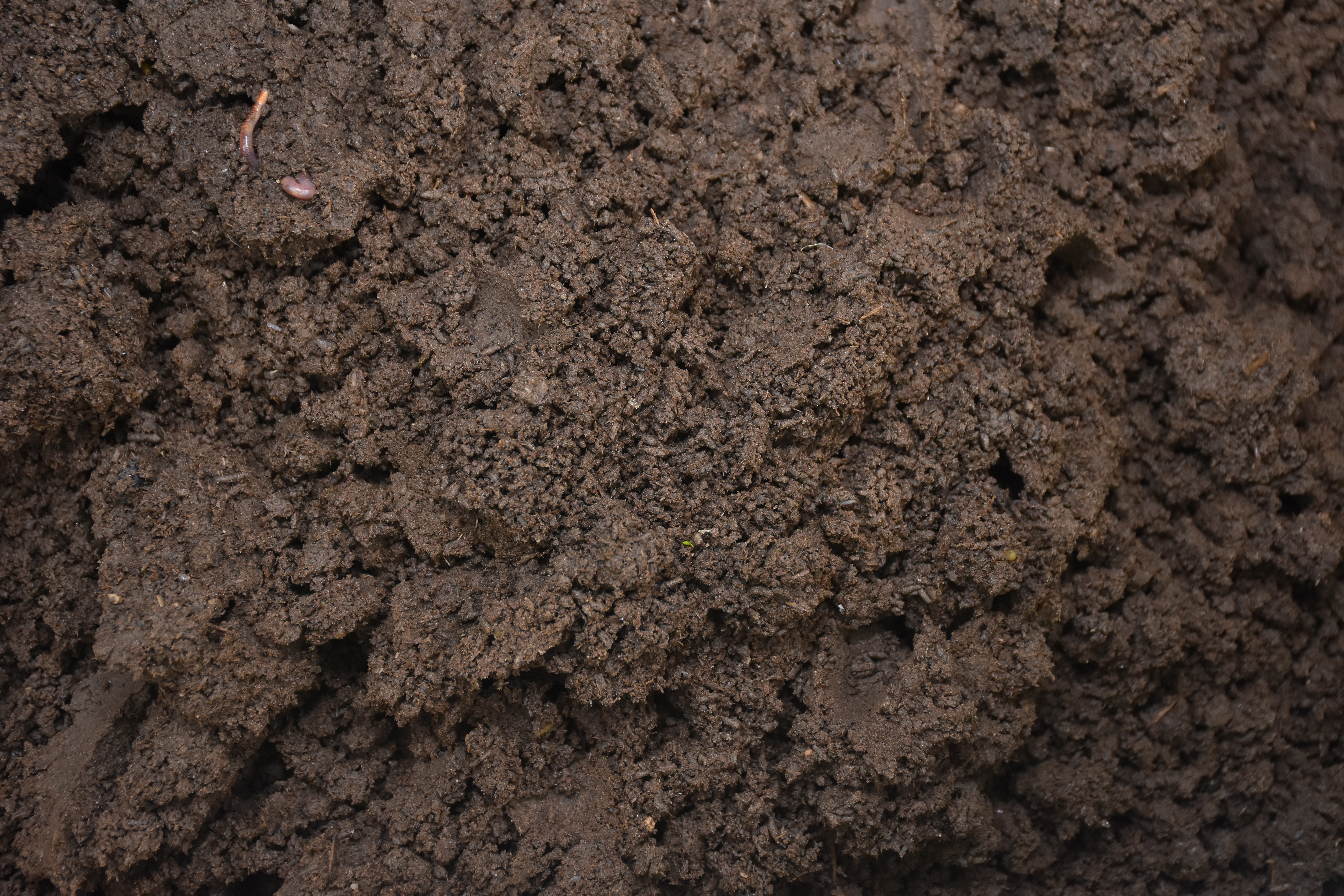 Vermi Compost Organic