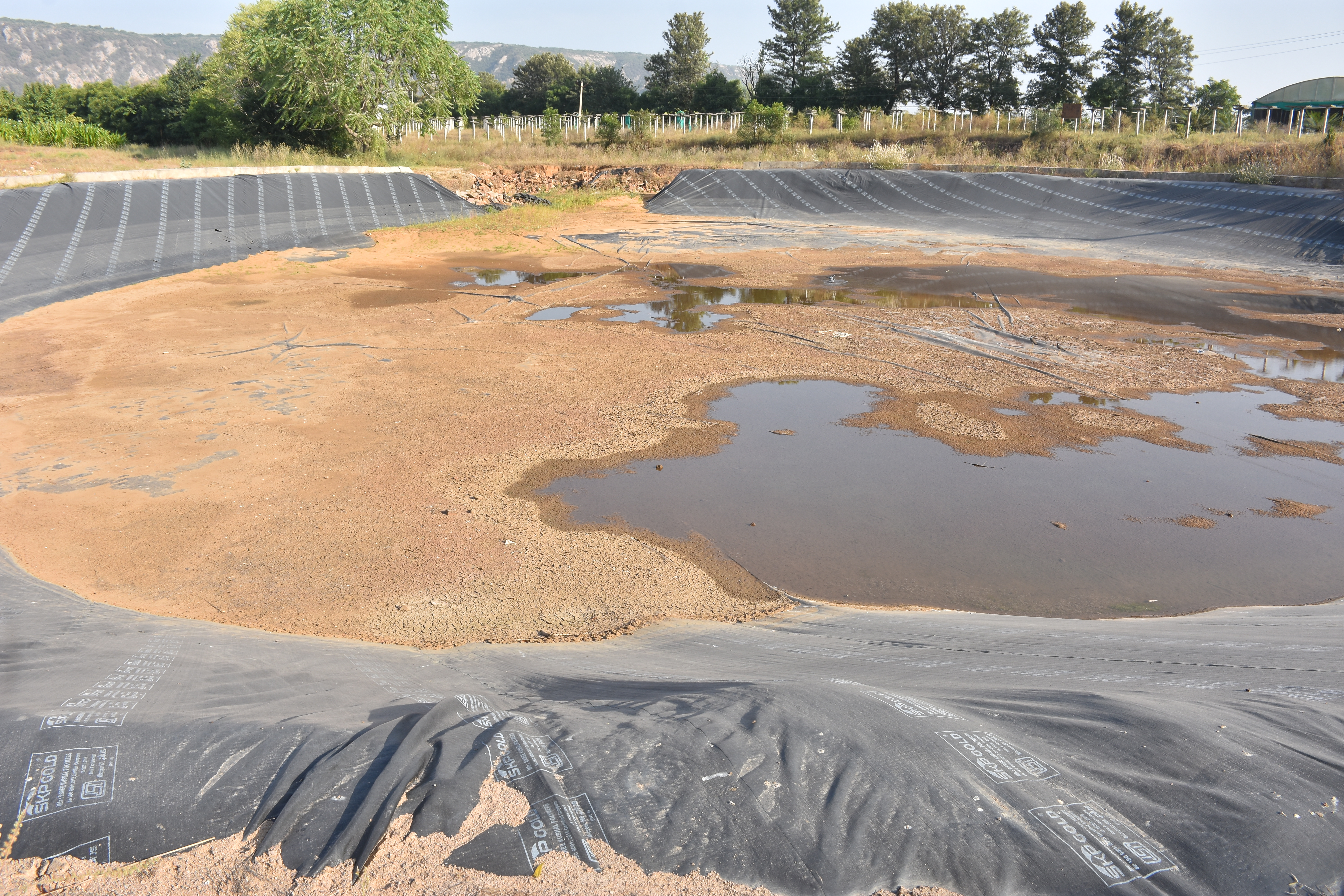 Geomembrane