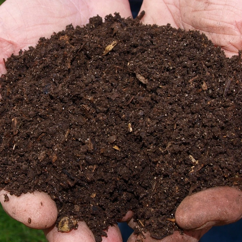 Vermi Compost Organic